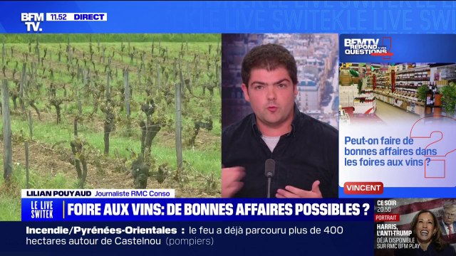 Peut-on faire de bonnes affaires dans les foires aux vins? BFMTV répond à vos questions