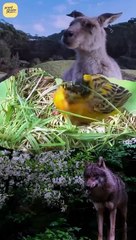 आप कौन हैं? || आचार्य प्रशांत