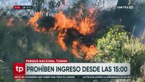 Para prevenir incendios, restringen el ingreso al Parque Tunari en Cochabamba