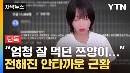 [자막뉴스] 업로드 멈춘 쯔양…측근이 전한 안타까운 근황 / YTN