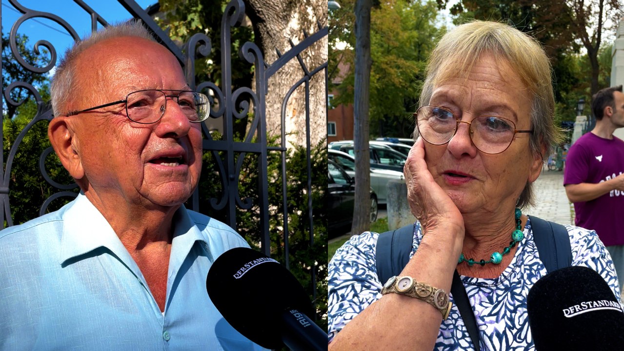 Umfrage: Warum werden Sie die FPÖ wählen?