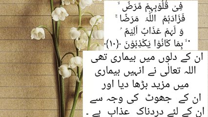 Qurani Ayat ka Tarjma/Ahadis Nabvi/AlQuran/