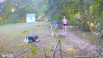 Girl "Steals" Neighbor's Dog in Adorable Prank!