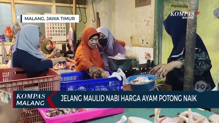 Jelang Perayaan Maulid  Nabi Harga Ayam Potong Naik