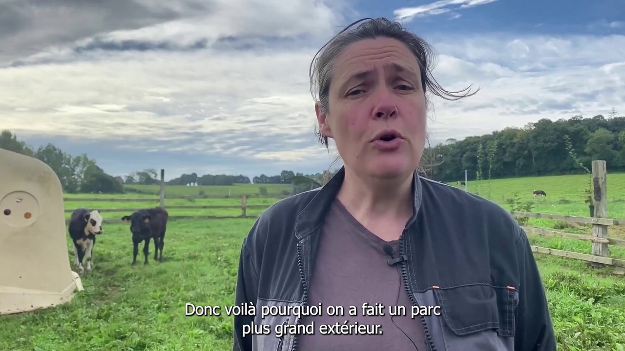 Une nurserie collective en extérieur pour l'élevage des veaux laitiers