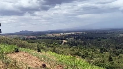 John Nwankwo Noko farm view