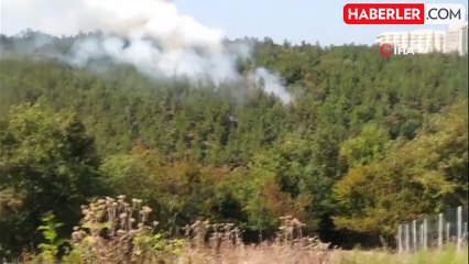 Üniversite kampüsünde orman yangını