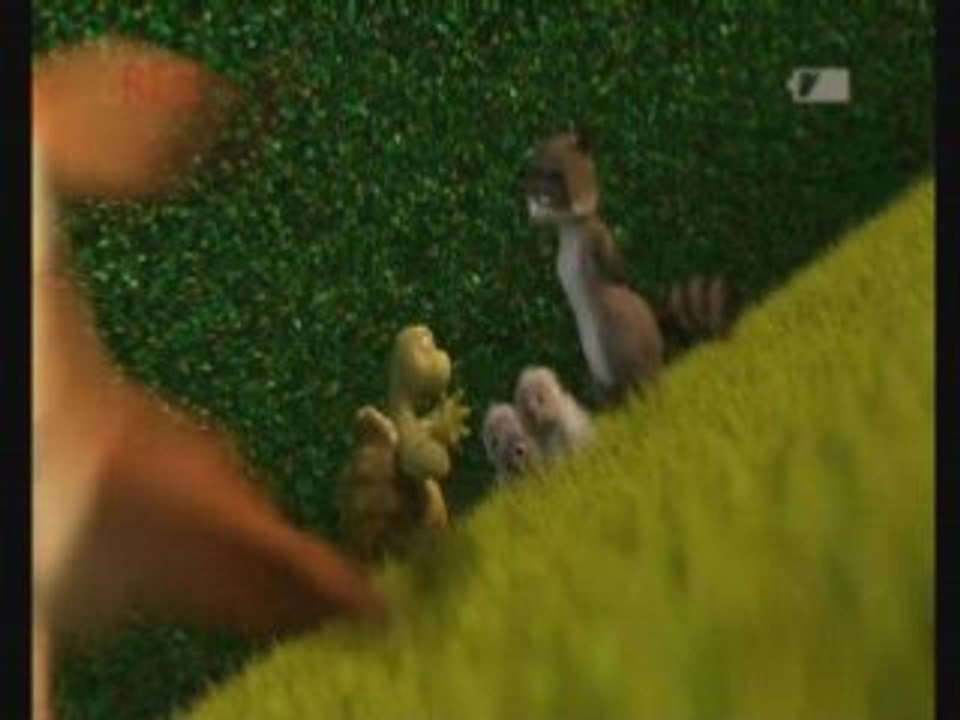 Zamy et son bomerang