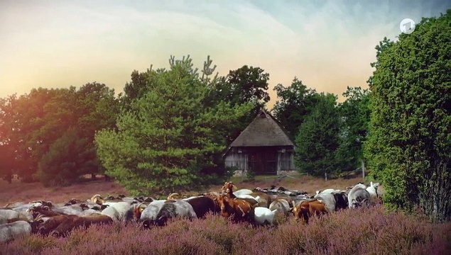 Rote Rosen Folge 4020