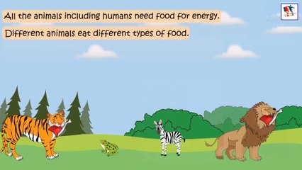 Characteristics Of Animals