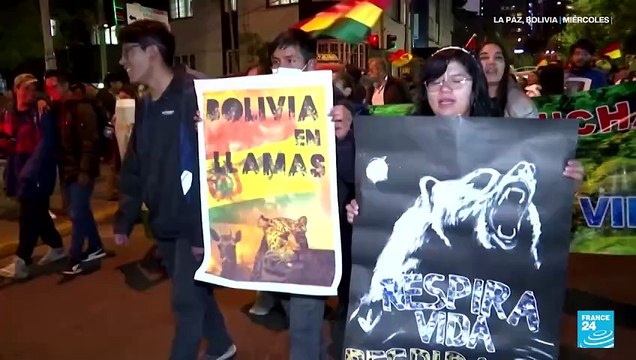 América Latina en llamas: ola de incendios forestales deja millones de hectáreas calcinadas