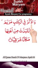 Al-Quran - Surah 19 - Maryam - Ayah 16 | quran tilawat everyday | hafiz salman ali