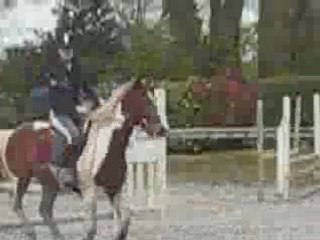 Concours Mai 2008
