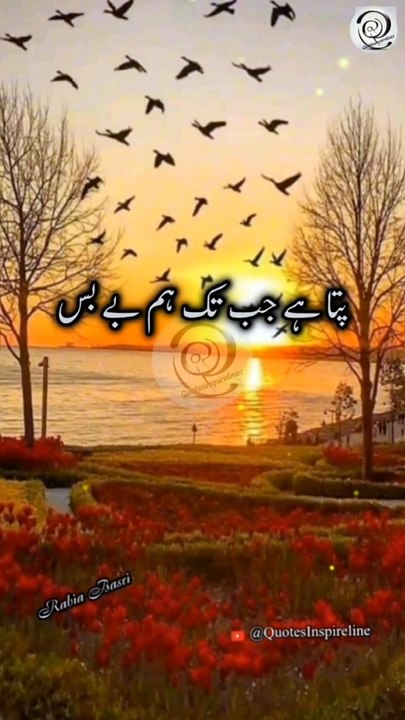 Aqwal e zareen|Urdu shayari|Islamic quotes#quotes#foryou#poetry#sadpoetry #शयर #short#viralshort