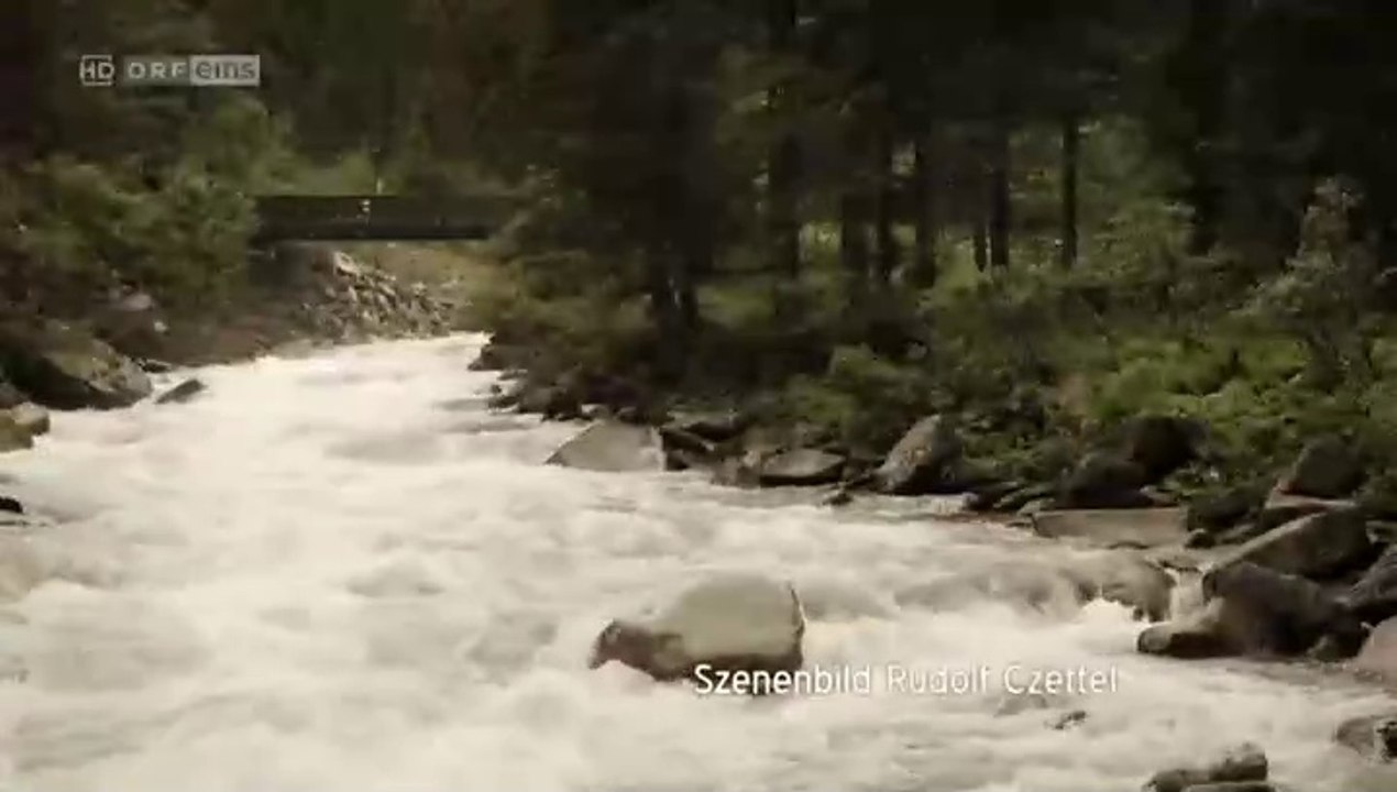 Landkrimi -08- Drachenjungfrau