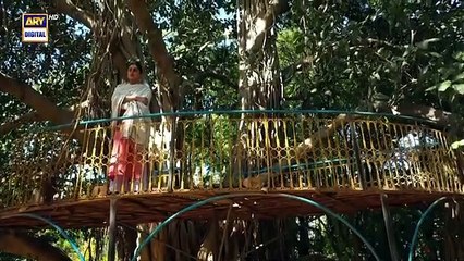 Noor Jahan 2nd Last Episode | 13 September 2024 | ARY Digitaldrama