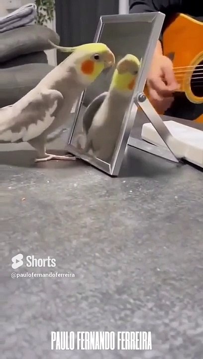 Humming