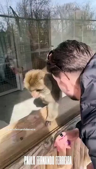 Magic