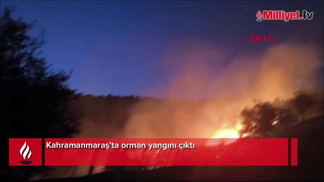 Kahramanmaraş'ta orman yangını! Ekipler müdahale ediyor