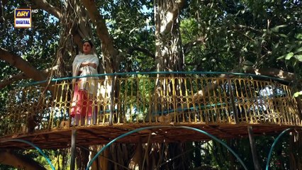 Noor Jahan 2nd Last Episode   13 September 2024   ARY Digital