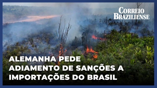 Alemanha pede que UE adie sanções às importações brasileiras de terras desmatadas