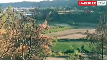 Antalya'da Orman Yangını Kontrol Altına Alındı