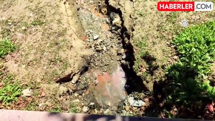 Gölcük Gölü'nde Pullu Sazan Balıklarının Ölümü Üzerine İnceleme Başlatıldı