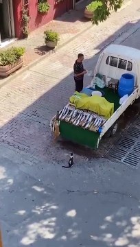 Organize suç örgütü KETÖ balıkçı tezgahından balık aşırırken böyle görüntülendi