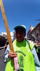 Peregrinos de Cachi llegan a la Catedral