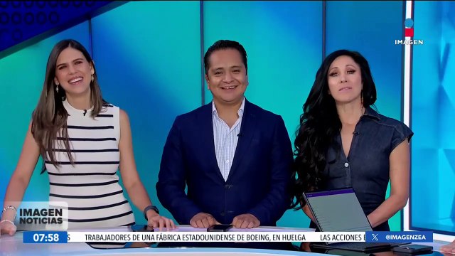 Perritos se quedan dormidos en sillas en medio de una fiesta