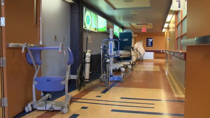 13 Sept: Top MS Updates on Whooping Cough (Coqueluche) 🩺