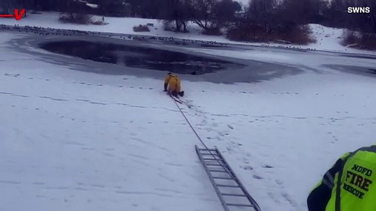 You Have to See This Amazing Rescue of a Dog Th...