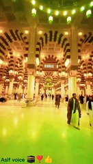 وہ رسول کریم ﷺ کی خدمت اقدس میں اپنا چھوٹا بچہ لے کر آئیں