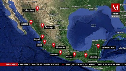 2024 es el segundo año con más incendios forestales en el país | Milenio Hábitat