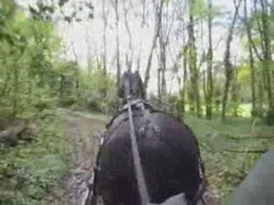 Ballade à blaison