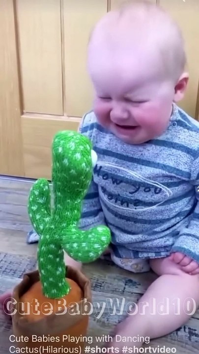 Cute Babies Playing with Dancing Cac..