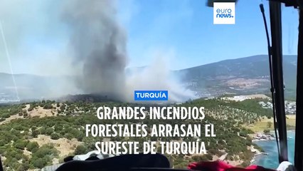 Los bomberos luchan por contener varios incendios forestales que arrasan Turquía