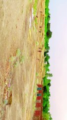 copy_FB50B64B-EE51-4429-B410-BC57D91CCD18