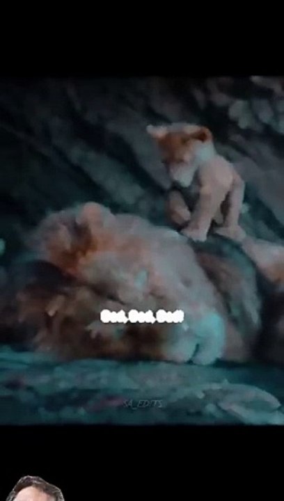 THE LION THE KING