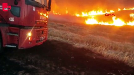 Anız yangını 1500 dönümlük alana zarar verdi