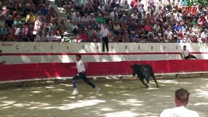Avant course à Montfrin 30 Juin 2024