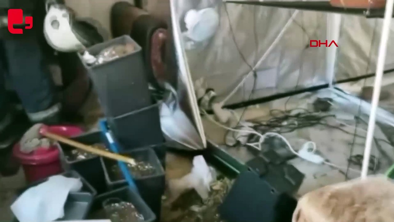 Yangın ihbarına giden itfaiye ve polis, uyuşturucu serası buldu