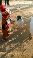 turkey lover #trending #foryou #tiktok #delicious #gaming #reels