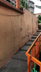 status videos #trending #foryou #tiktok #delicious #gaming #reels