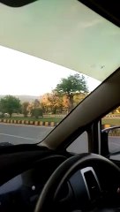 long road trip #trending #foryou #tiktok #delicious #gaming #reels