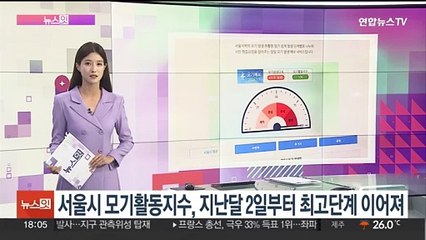 [뉴스잇] 다시 찾아온 '모기 지옥'