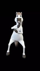 Donkey Disco dancer 