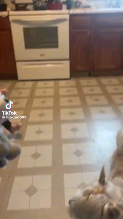 funny kids