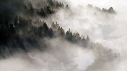 1 Hour Peaceful Meditation Music l Reduce Stress & Anxiety l Sleep Music l Inner Healing Music
