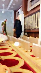 شیر کا بیٹا شیر 